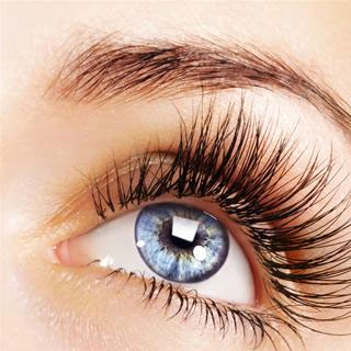 Lashes/HD Brows in Lowestoft